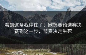 看到这条我停住了：欧锦赛预选赛决赛到这一步，节奏决定生死